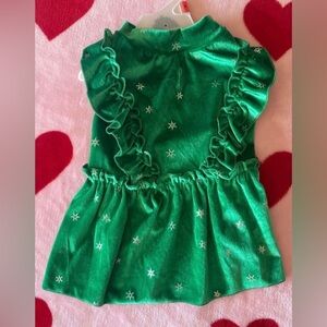 Green Velvet Dog Dress